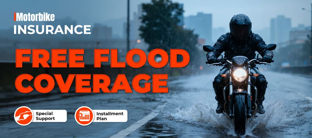 Campaign-Banner-Below-3000